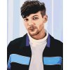 Paint by Number - Louis Tomlinson 2