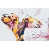Paint by Number - Golden Snowy Owl