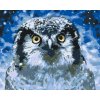 Paint by Number - Owl