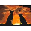 Paint by Number - Dogs Friends