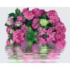 Paint by Number - Hydrangea by the Water