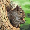 Paint by Number - Squirrel on the Tree