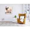 Paint by Number - French Bulldog