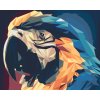 Paint by Number - Ara Parrot 2