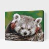 Paint by Number - Red Panda