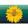 Paint by Number - Yellow Flower 1