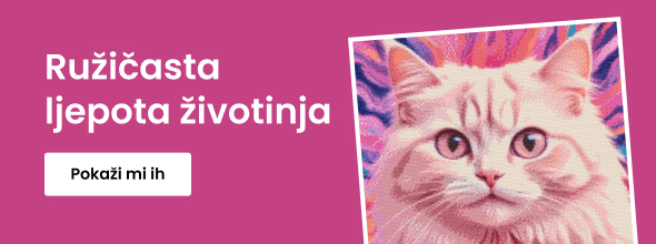 homepage_banner_right