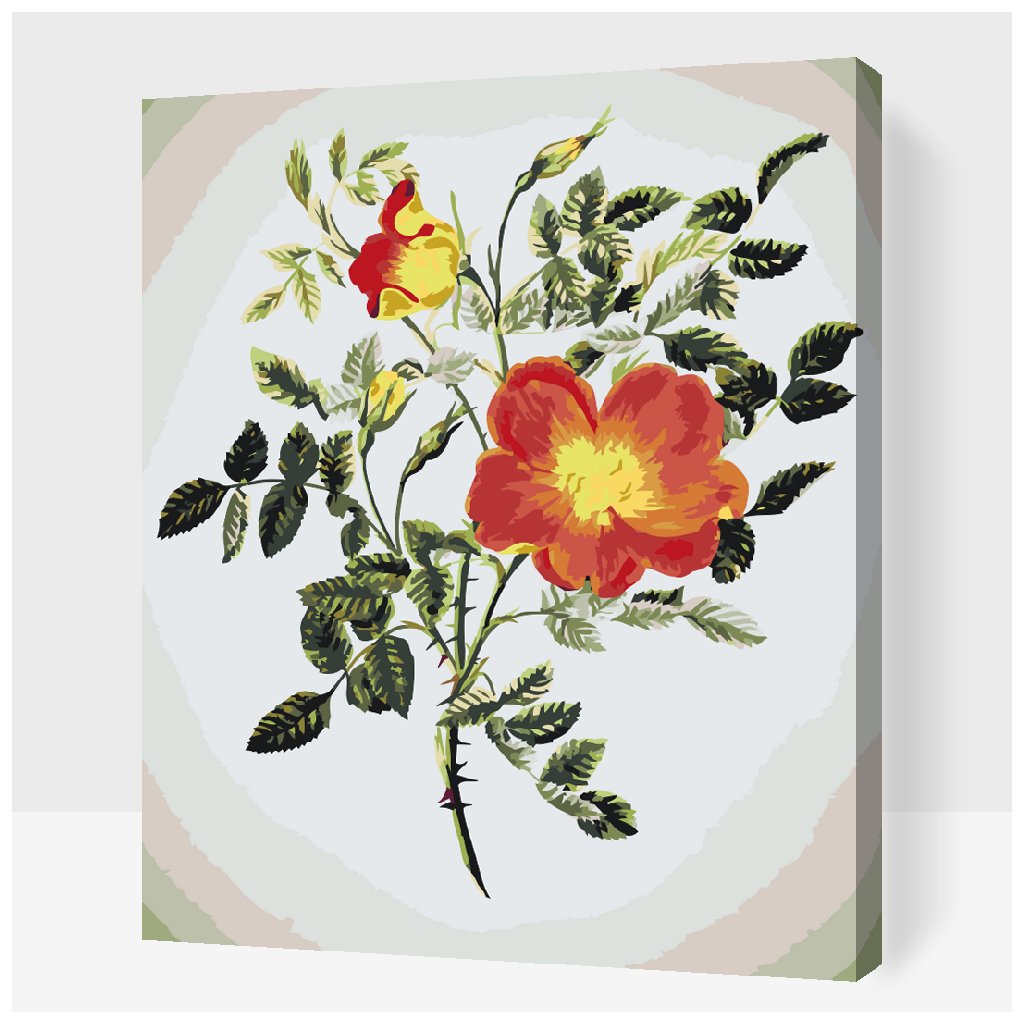 Paint by Number - Vintage Flowers VI