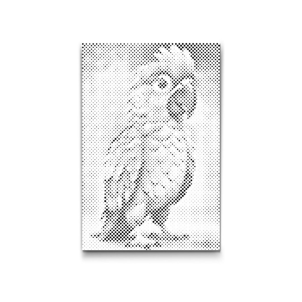 M2_Dotting_Points_-_Parrot_for_children