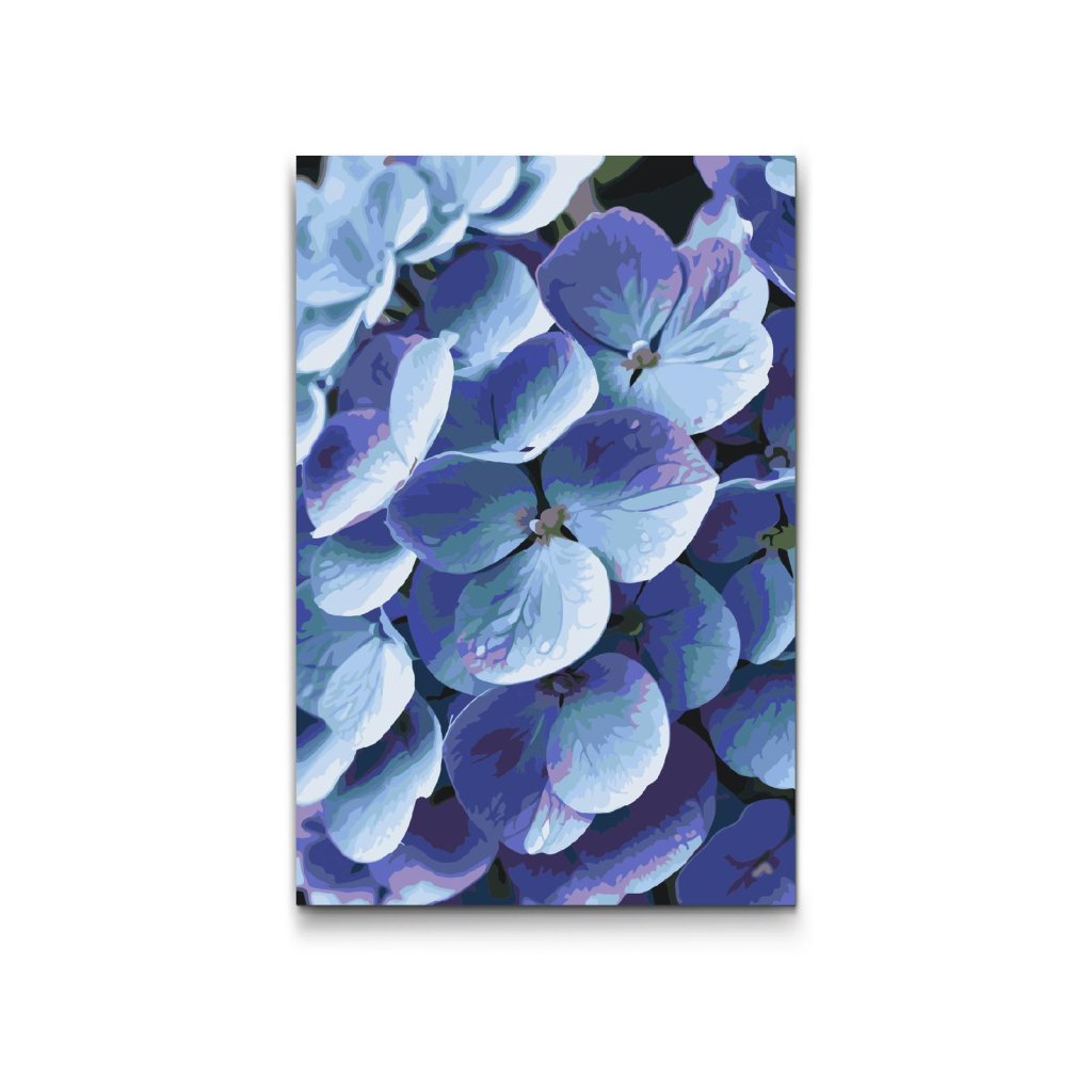 M2_Painting_by_Numbers_-_Hydrangea_flower