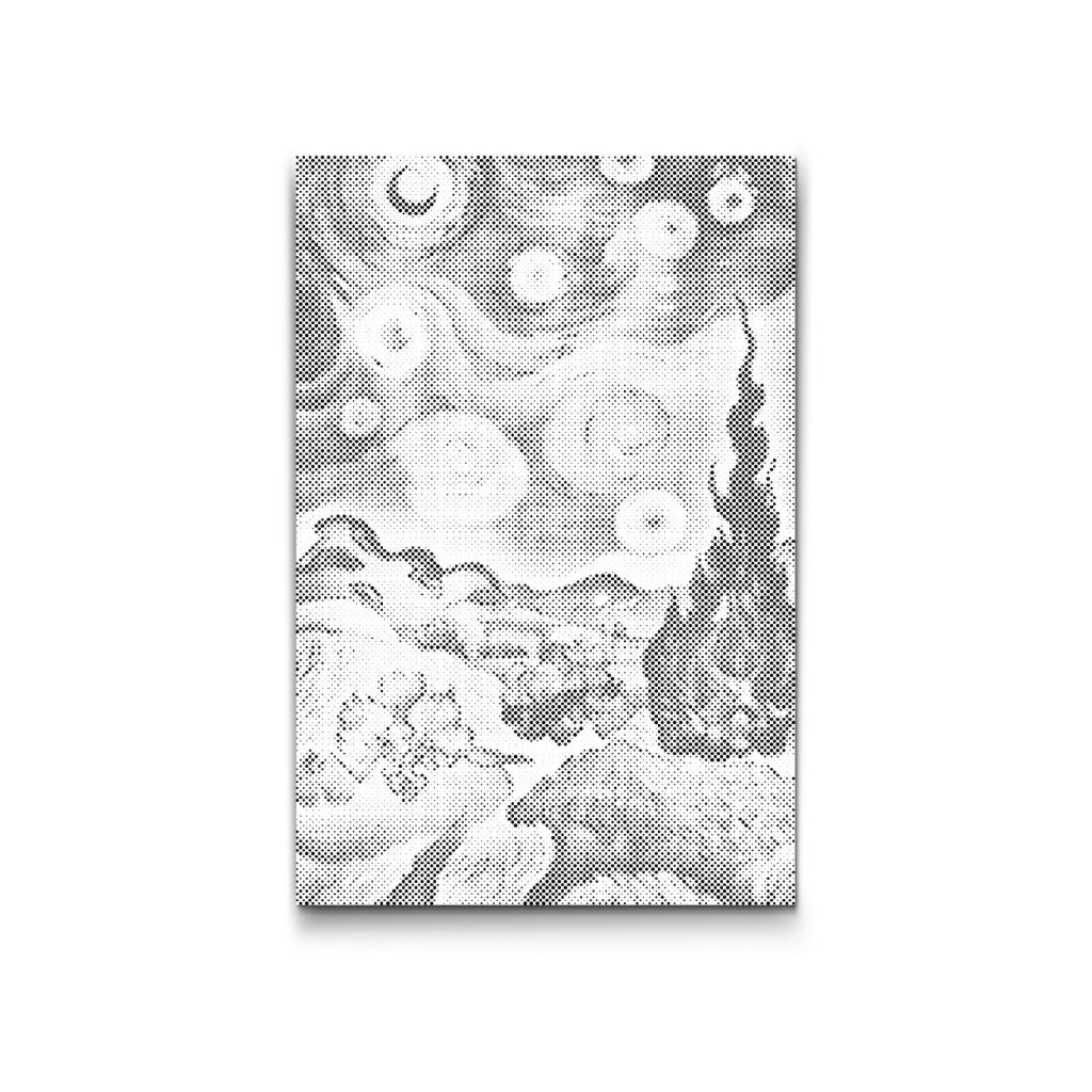 M2_Dotting_Points_-_Wheat_field_with_a_starry_sky