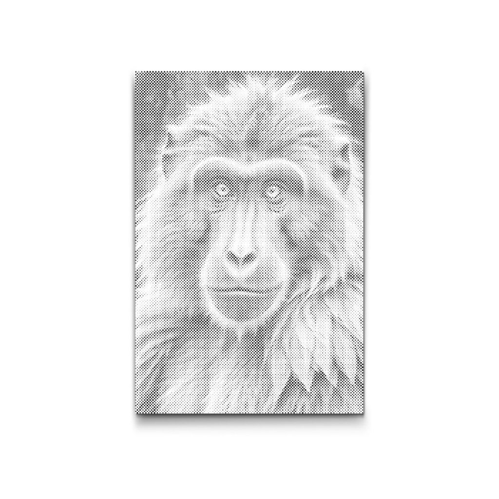 M2_Dotting_Points_-_Baboon_in_shades_of_dark_turquoise