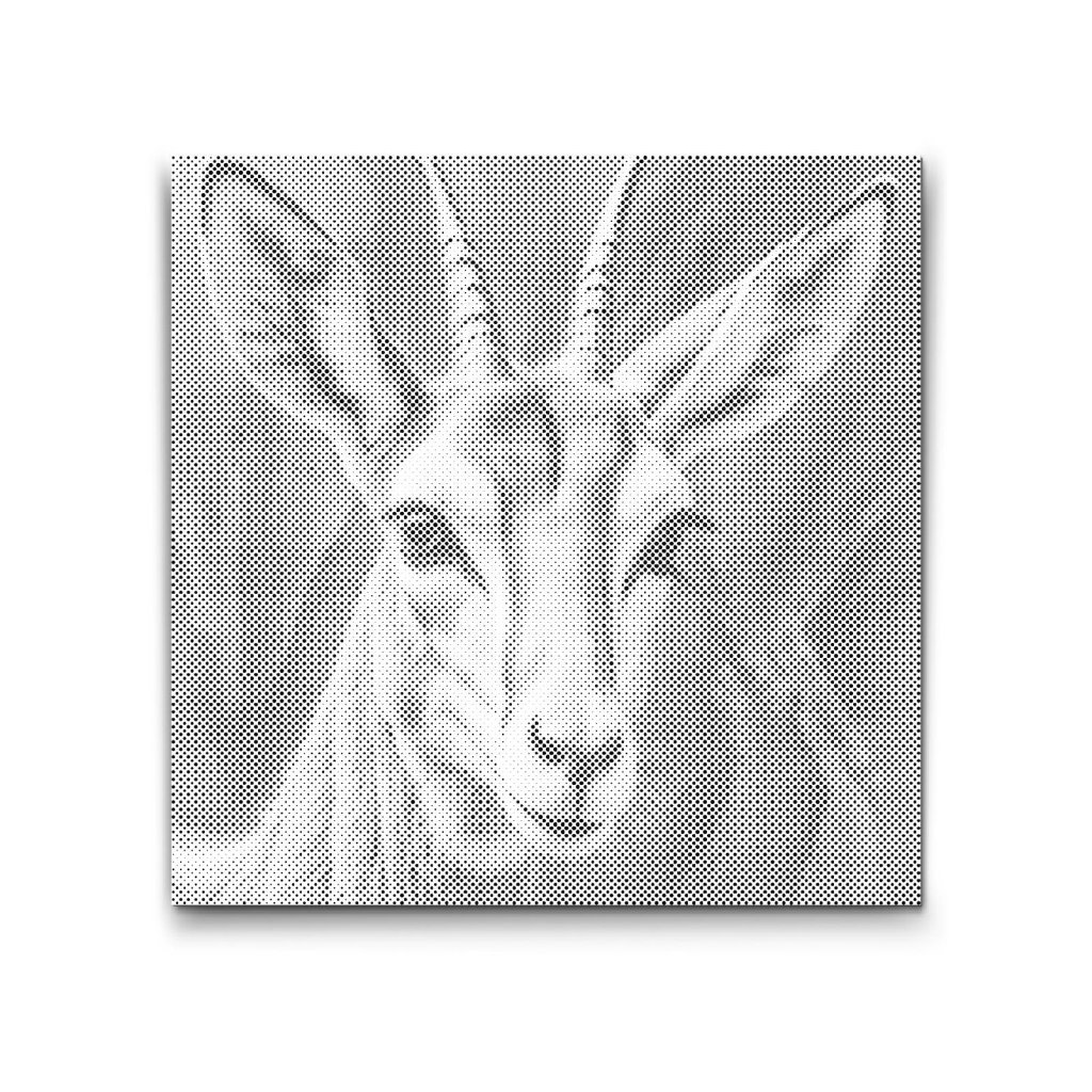 M2_Dotting_Points_-_Gazelle_in_shades_of_turquoise_and_orange