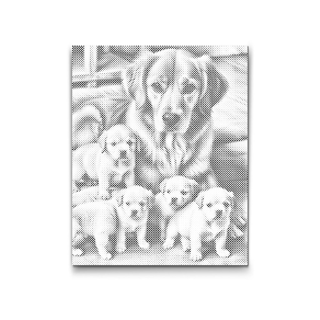 M2_Dotting_Points_-_Golden_retriever_and_puppies