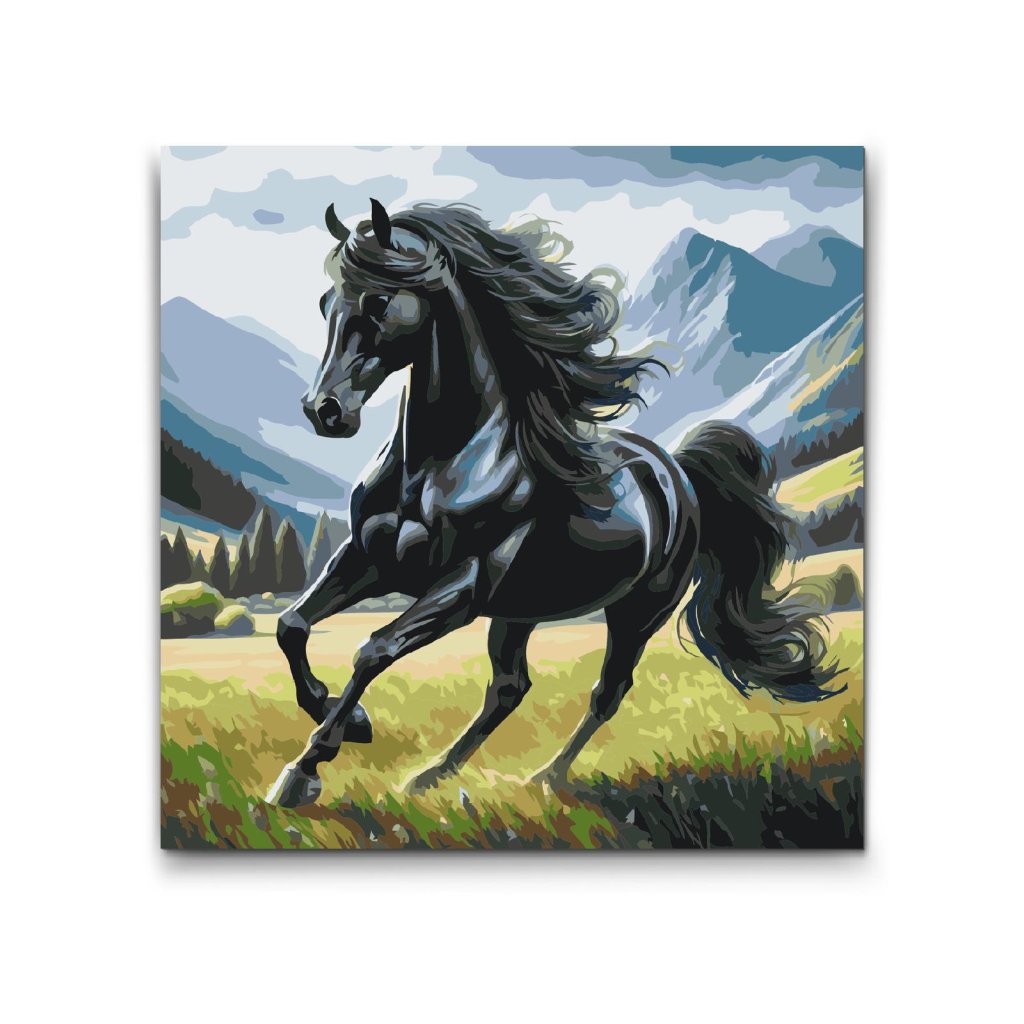M2_Painting_by_Numbers_-_Black_stallion