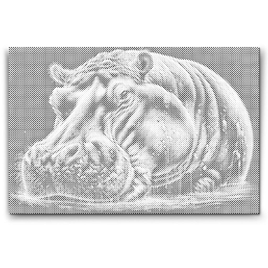 M2_Dotting_Points_-_Colorful_hippopotamus
