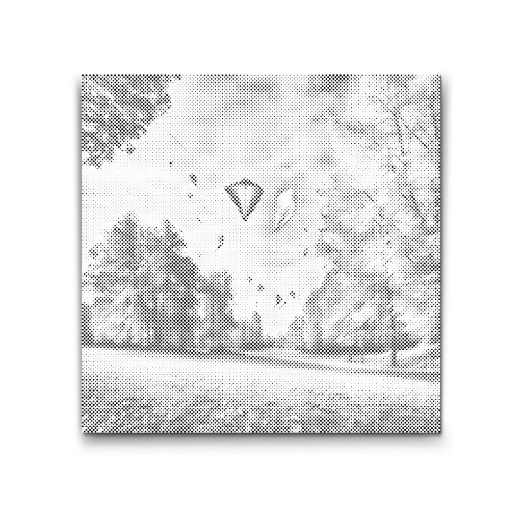 M2_Dotting_Points_-_Flying_a_Kite