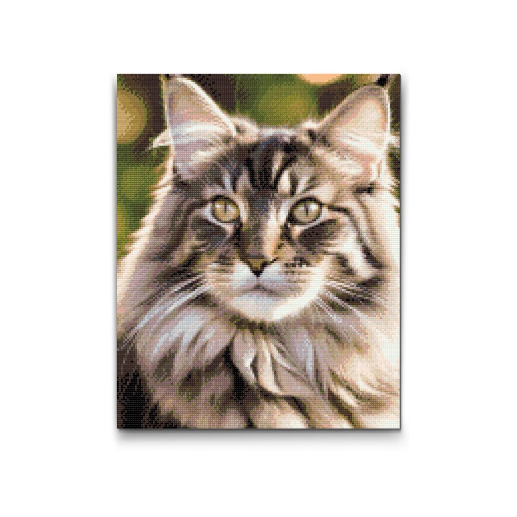 M2_Diamond_Paintings_-_Maine_Coon_cat