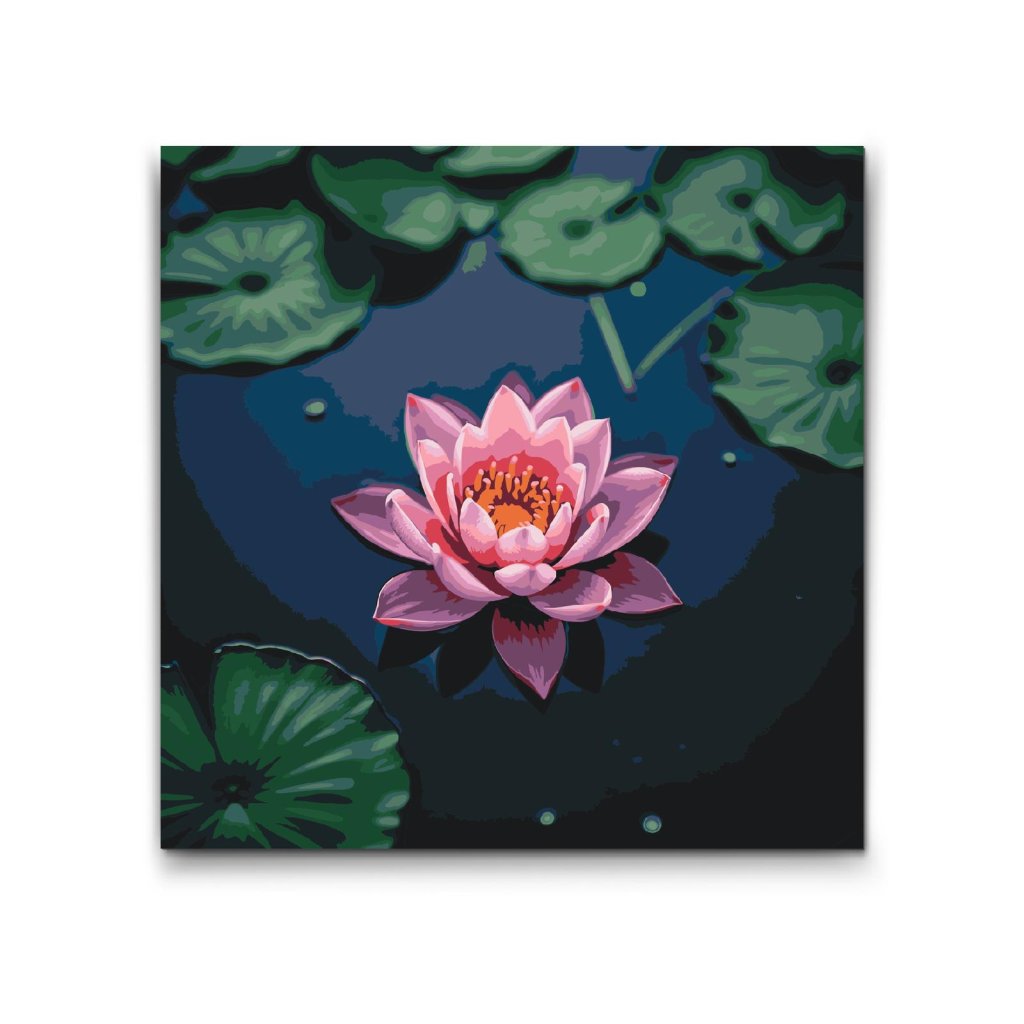 M2_Painting_by_Numbers_-_Pink_lotus_flower