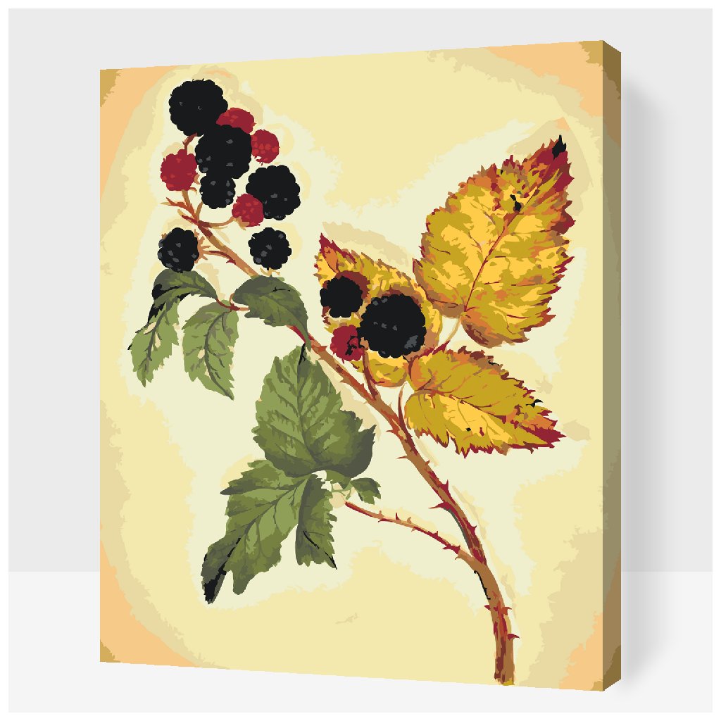 Paint by Number - Vintage Blackberry