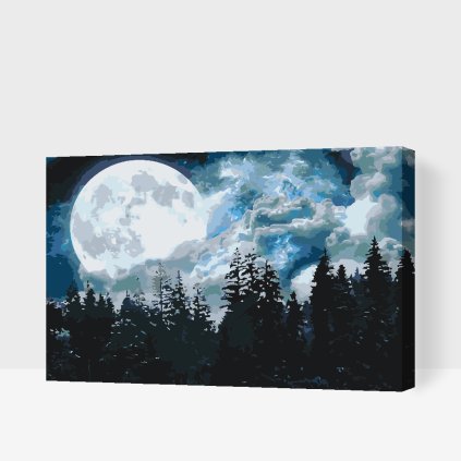 Paint by Number - Full Moon over the Forest
