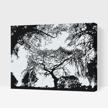 Paint by Number - Silhouette of Trees