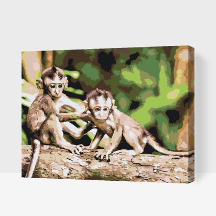 Paint by Number - Monkeys