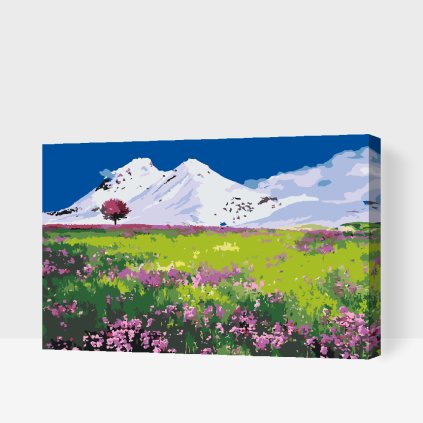 Paint by Number - Meadow in the middle of the Mountains
