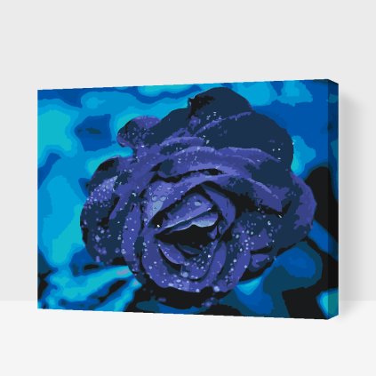 Paint by Number - Blue Rose