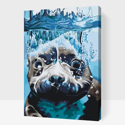 Paint by Number - Seal under Water