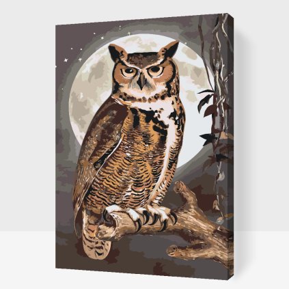 Paint by Number - Wise Owl