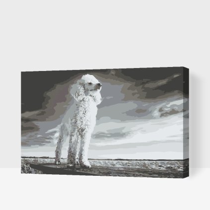 Paint by Number - Poodle