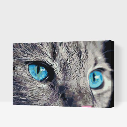 Paint by Number - Sharp Look