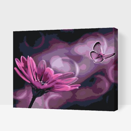 Paint by Number - Butterfly and Gerbera