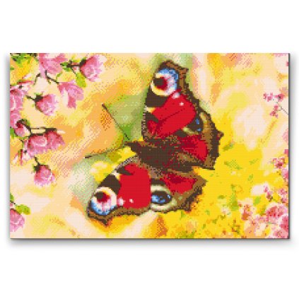 Diamond Painting - Peacock Eye Butterfly