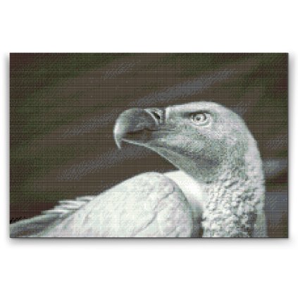 Diamond Painting - Vulturebird