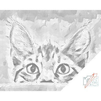 Dotting points - Curious Eyes