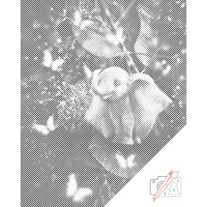 Dotting points - Elephant in the Realm of Butterflies