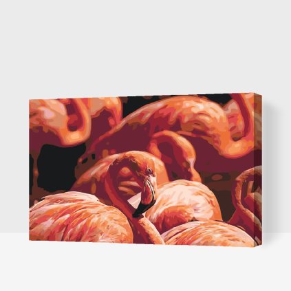 Paint by Number - Flamingos 2