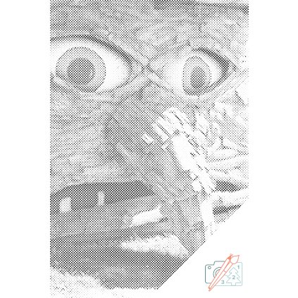 Dotting points - Donovaly Habakuky