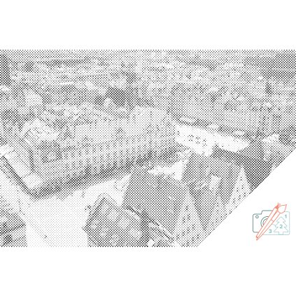 Dotting points - Wroclaw, Poland