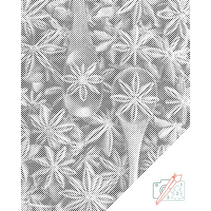 Dotting points - Star Anise