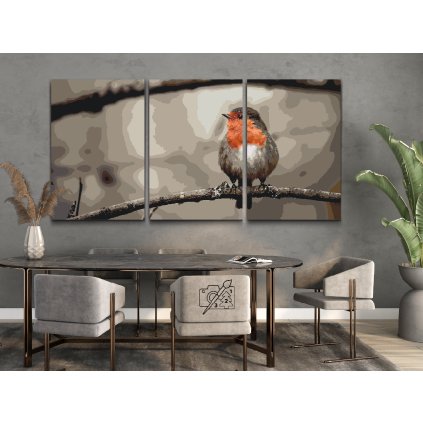 Paint by Number - Robin (set of 3)