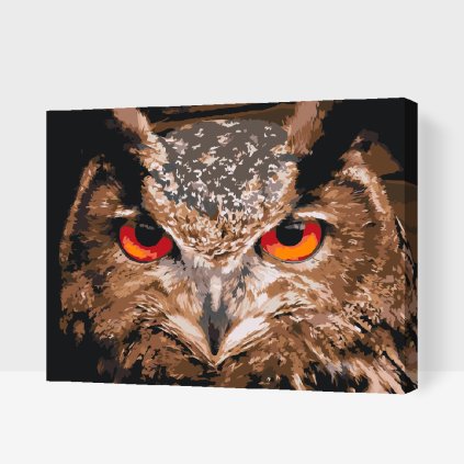 Paint by Number - Owl 2