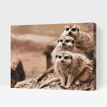 Paint by Number - Safari Meerkats