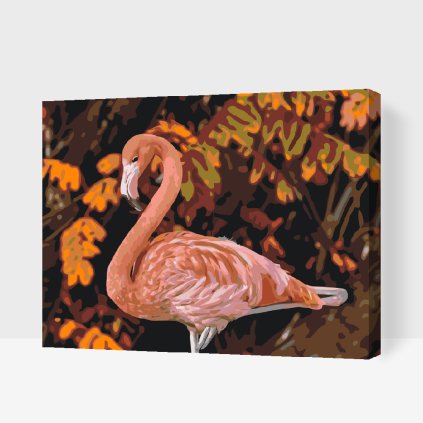 Paint by Number - Flamingo in Nature