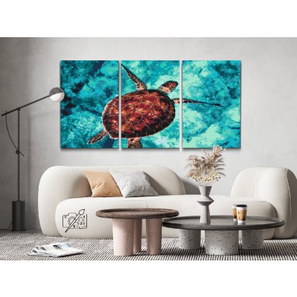 Malování podle čísel - Mořská želva (sada 3ks)