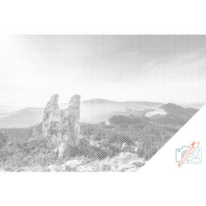 Tečkování - Pietrele Doamnei, Rumunsko