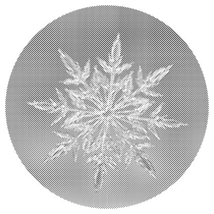 Dotting points - Ice Flake 2