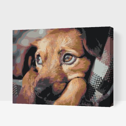 Paint by Number - Puppy